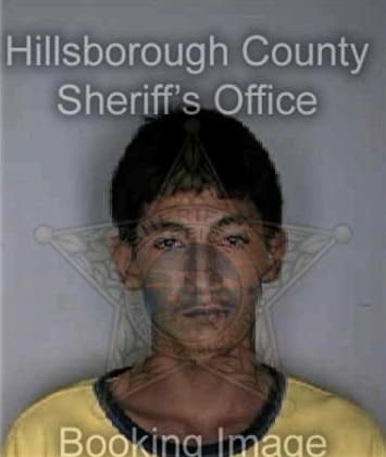 Robert Henson - Hillsborough County, FL 