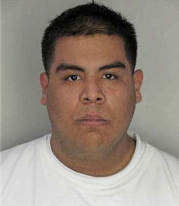 Efrain Martinezgonzalez, - Hillsborough County, FL 