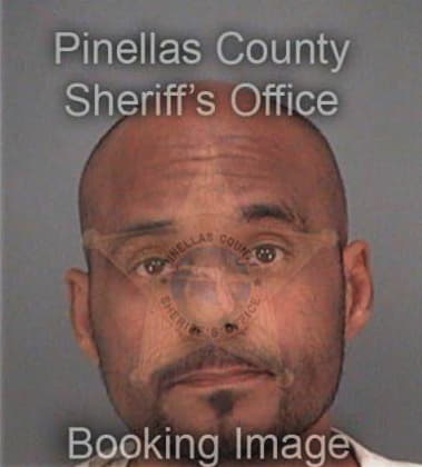 Michael McKenzie - Pinellas County, FL 