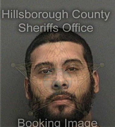 Michael Underwood, - Hillsborough County, FL 