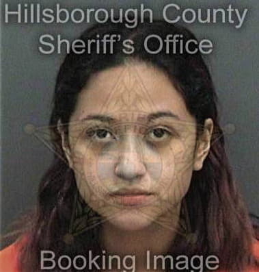 Arian Creque, - Hillsborough County, FL 