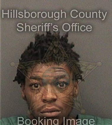 Calvin Johnson, - Hillsborough County, FL 