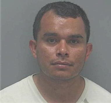 Luis Oliva-Gonzalez, - Lee County, FL 