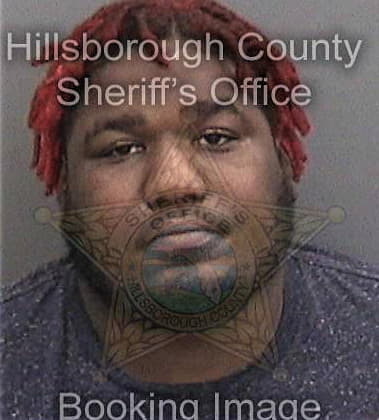 Trevvon Platt, - Hillsborough County, FL 