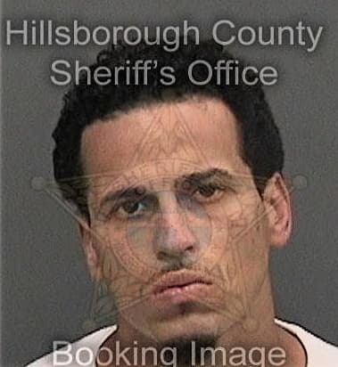 Joesiel Rosarioalvarez, - Hillsborough County, FL 