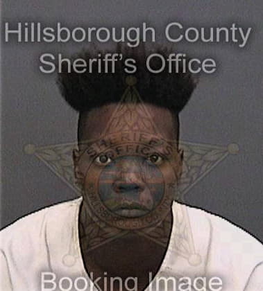 Denisha Cooper, - Hillsborough County, FL 