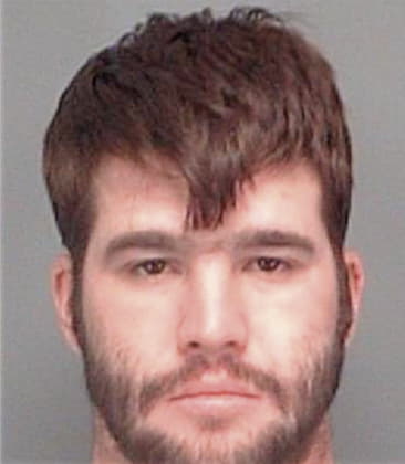 Nicholas Grosvenor, - Pinellas County, FL 