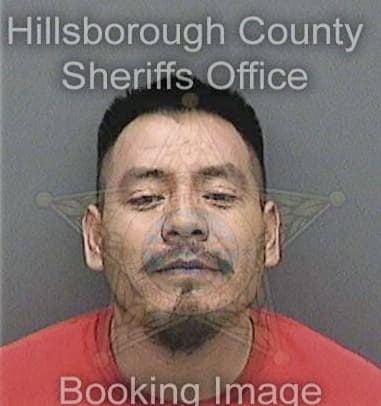 Alayn Hernandezfabelo - Hillsborough County, FL 