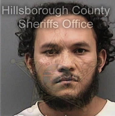 Michael Rosario, - Hillsborough County, FL 