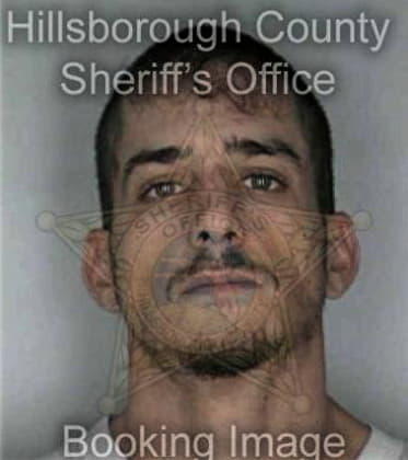 Michael Stewart, - Hillsborough County, FL 