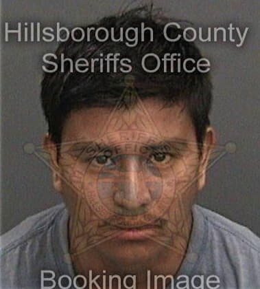 Nicholas Zambori, - Hillsborough County, FL 