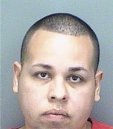 Jesus Carreon, - Pinellas County, FL 