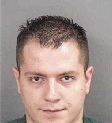 Ernest Castillo, - Collier County, FL 