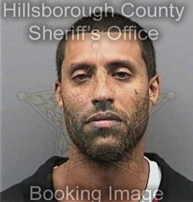 Jose Cervantesluna, - Hillsborough County, FL 