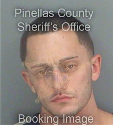 Alen Hokic, - Pinellas County, FL 