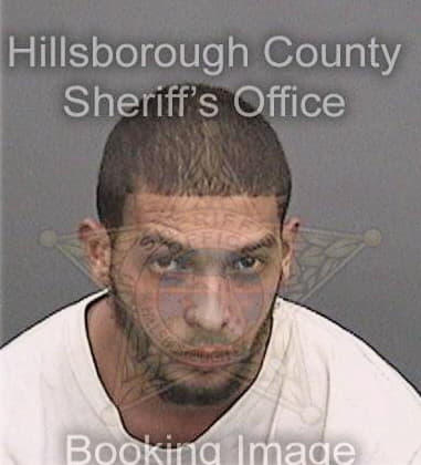 Luke Licalzi, - Hillsborough County, FL 