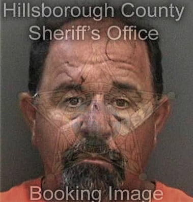 Hilario Monteiro-Grossi, - Hillsborough County, FL 