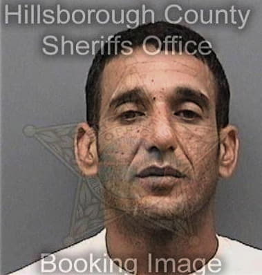 Nicholas Odegaard, - Hillsborough County, FL 