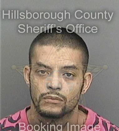 Christopher Royal, - Hillsborough County, FL 