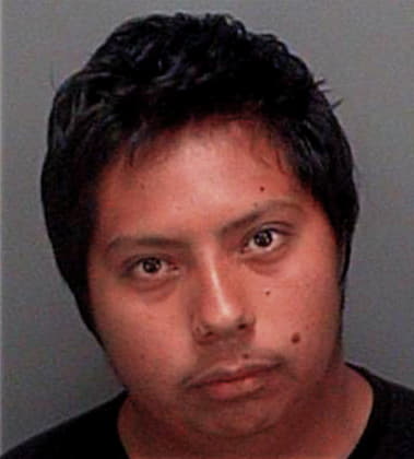 Julian Sanchez, - Pinellas County, FL 