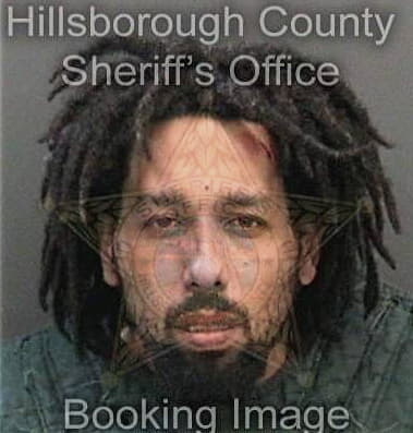 Demetrious Simmons, - Hillsborough County, FL 