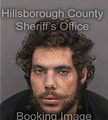 Merlin Bertrandmartinez - Hillsborough County, FL 