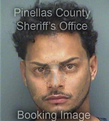 Nicholas Miguel, - Pinellas County, FL 