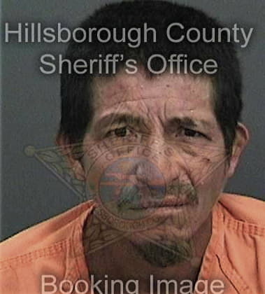 David Mills - Hillsborough County, FL 