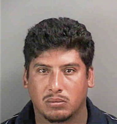 Bernabe Sanchez, - Collier County, FL 