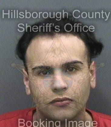 Robert Simpson, - Hillsborough County, FL 