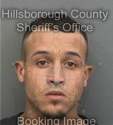 Mark West, - Hillsborough County, FL 