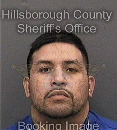 Denny Allauca, - Hillsborough County, FL 