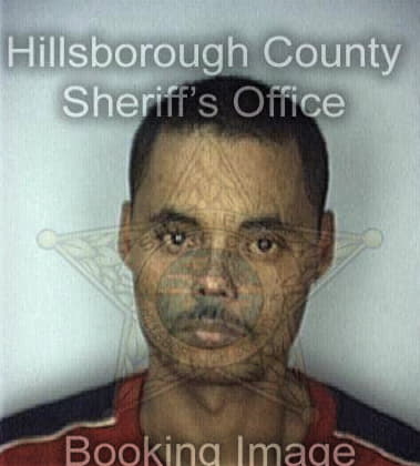 Juan Alvaradoortiz, - Hillsborough County, FL 