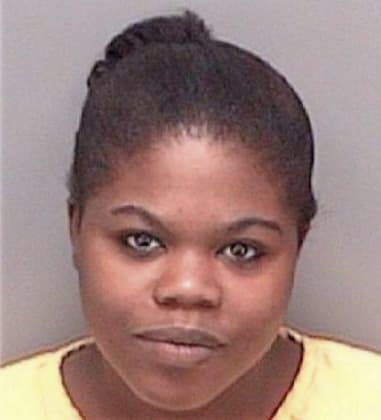 Cynthia Arnold, - Pinellas County, FL 