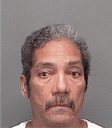 Alejandro Gutierreztolentino, - Pinellas County, FL 