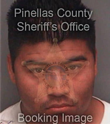 Jose Lewismedina, - Pinellas County, FL 