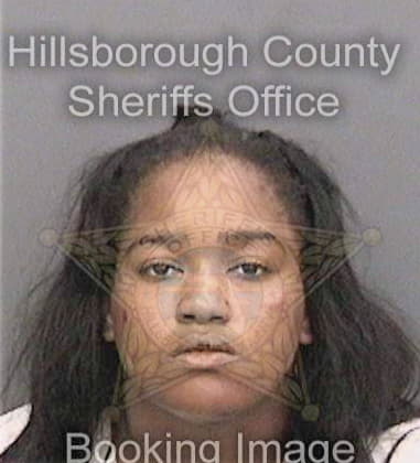 Dianna Mervil - Hillsborough County, FL 