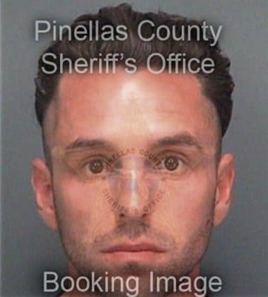 Nicholas Ruggiano, - Pinellas County, FL 