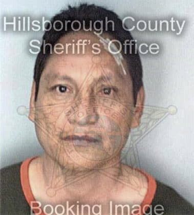 Miguel Torresgonzalez, - Hillsborough County, FL 