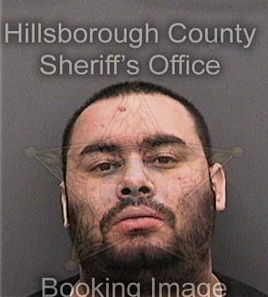 Luis Disdier-Robles, - Hillsborough County, FL 