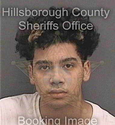 Jose Forestier, - Hillsborough County, FL 