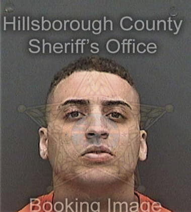 Carlos Garcia, - Hillsborough County, FL 