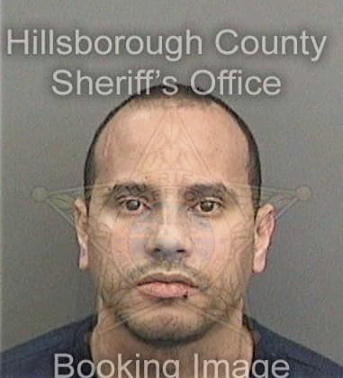 Nicholas Gillham, - Hillsborough County, FL 