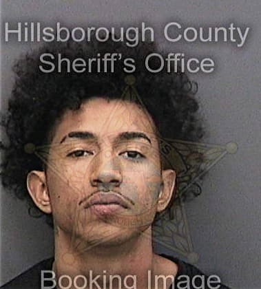 Hermelindo Hernandez-Hernandez - Hillsborough County, FL 