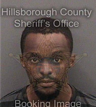 Jameek Johnson, - Hillsborough County, FL 