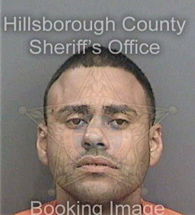 Tyler Marchantmaynard, - Hillsborough County, FL 