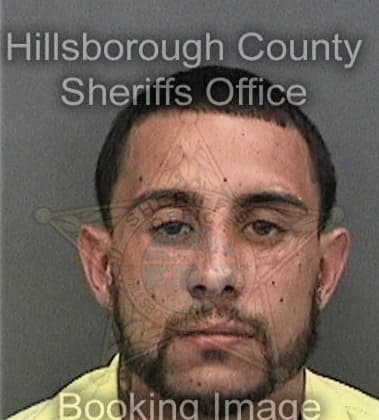 Nicholas Mathews, - Hillsborough County, FL 