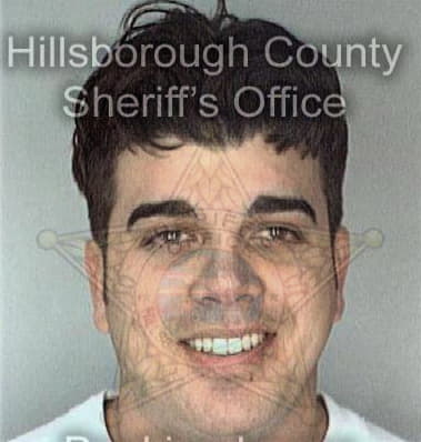 Gregory Verzino, - Hillsborough County, FL 