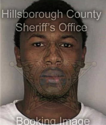 Brian Williams - Hillsborough County, FL 