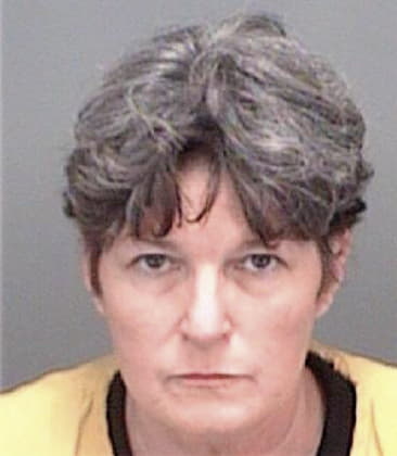 Debra Young, - Pinellas County, FL 